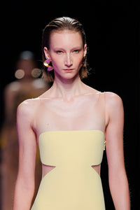 Her Trove-Strapless dress with organza palettes