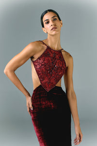 HerTrove-Embroidered tulle and velvet with side cutouts dress
