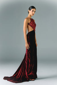 HerTrove-Embroidered tulle and velvet with side cutouts dress