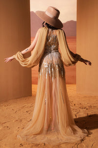 HerTrove-Semi sheer tulle dress with sequins and embroidery