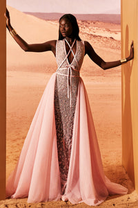 HerTrove-Embroidered tulle dress with overskirt