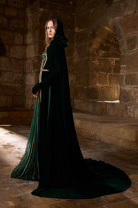 HerTrove-Embroidered tulle dress with gold chain accents and contrasting velvet back