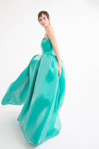 HerTrove-Strapless voluminous gown