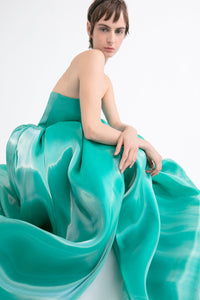 HerTrove-Strapless voluminous gown