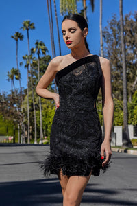 HerTrove-Embroidered mini dress with velvet details