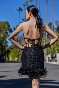 HerTrove-Embroidered mini dress with velvet details
