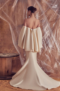 Cape style bodice with appliques mermaid gown - HerTrove