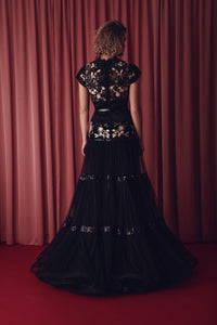 Cap sleeves banded top with pleated tulle skirt - HerTrove