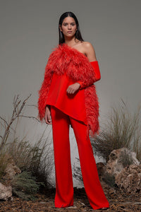One shoulder feathered top with pants - HerTrove