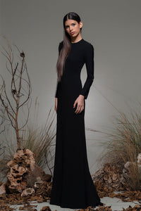 Fitted bodice long sleeves dress - HerTrove