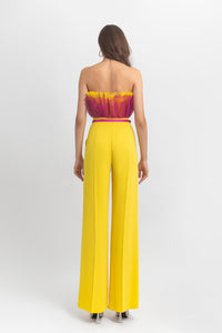 Ruffled tulle crop top with pants - HerTrove