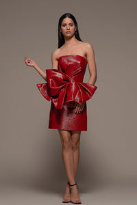 Bustier Top with Short Skirt - HerTrove