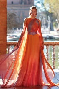 HerTrove-Pleated bodice degraded chiffon dress